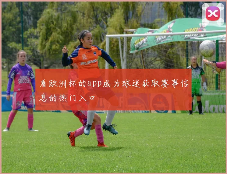 看欧洲杯的app成为球迷获取赛事信息的热门入口
