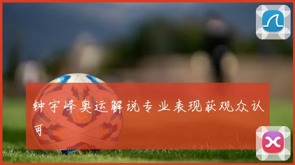 钟宇峰奥运解说专业表现获观众认可