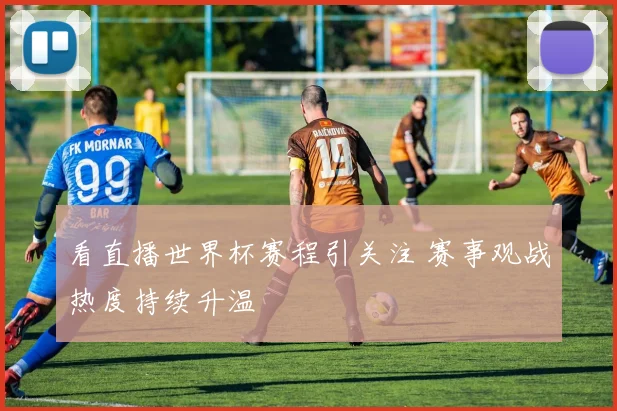 看直播世界杯赛程引关注 赛事观战热度持续升温