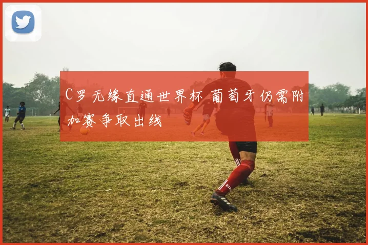 C罗无缘直通世界杯 葡萄牙仍需附加赛争取出线