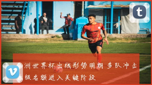 非洲世界杯出线形势明朗 多队冲击晋级名额进入关键阶段