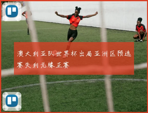 澳大利亚队世界杯出局亚洲区预选赛失利无缘正赛
