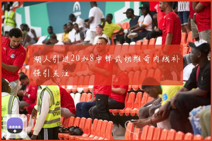 湖人引进20加8中锋武切维奇内线补强引关注