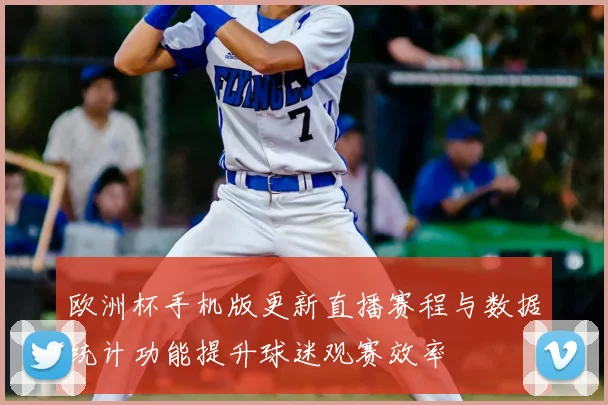 欧洲杯手机版更新直播赛程与数据统计功能提升球迷观赛效率